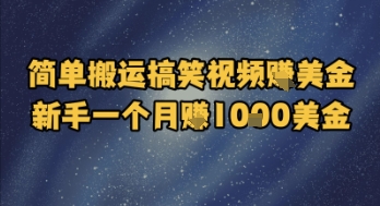 简单搬运搞笑视频挣美金，新手一个月入1k美金 - HEIXMI（中国站）-HEIXMI（中国站）