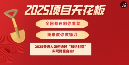2025项目天花板普通人如何通过知识付费，实现财F自由【揭秘】-HEIXMI（中国站）