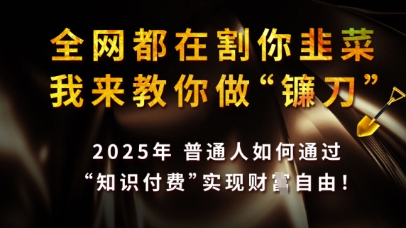 全网都在割你韭菜，我来教你做镰刀，2025普通人如何通过知识付费，实现财F自由【揭秘】-HEIXMI（中国站）