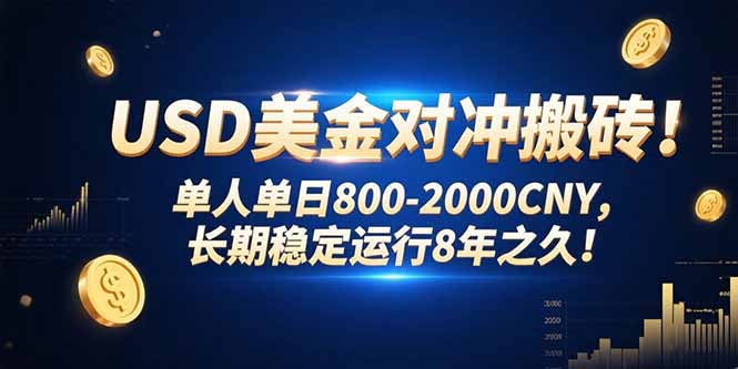 USD美金对冲搬砖!单人单日800-2000CNY，长期稳定运行8年之久!-HEIXMI（中国站）